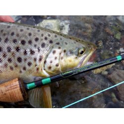 LeMaxx Xcellent SW #4