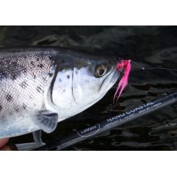 LeMaxx NANO Coastal #6