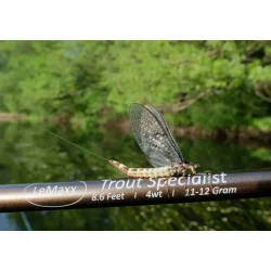 LeMaxx Trout Specialist #4