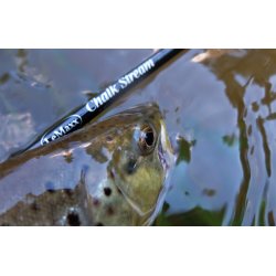 LeMaxx Chalk Stream #4