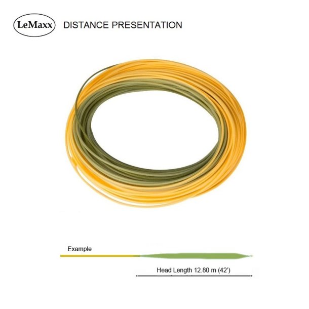 DISTANCE Presentation