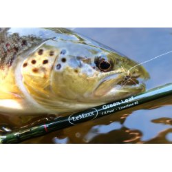 LeMaxx Green Leaf #2