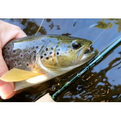 LeMaxx Green Leaf Flues�t #2