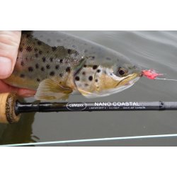 LeMaxx NANO Coastal #6