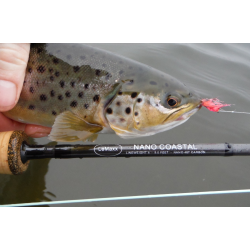 LeMaxx NANO Coastal Flues�t #6